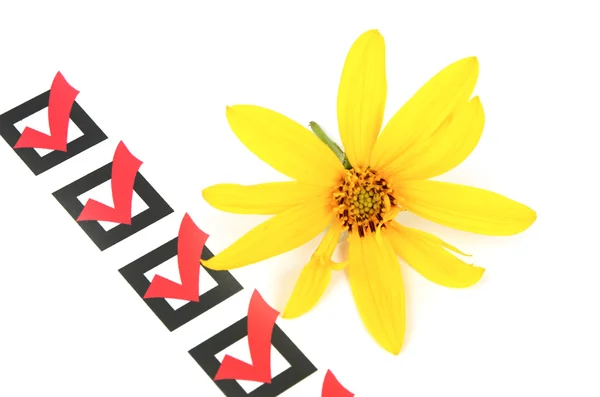 Топінамбур квітка і прапорець — стокове фото