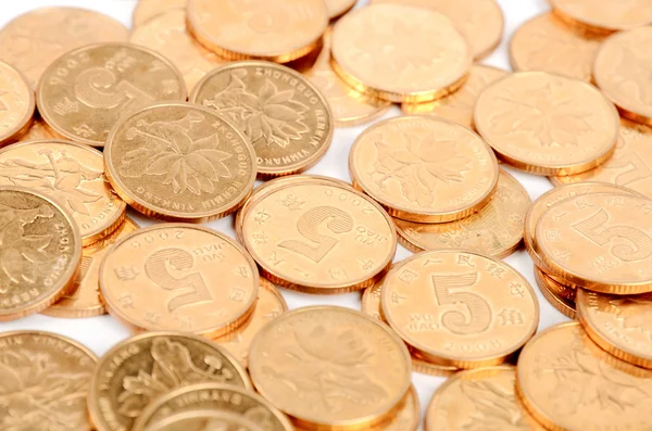 Gouden munten op witte achtergrond — Stockfoto