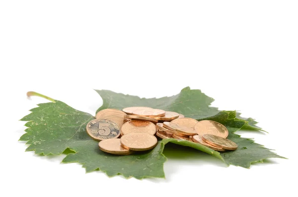 stock image Plane tree leaf and coins