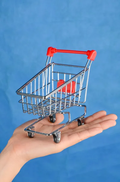 Shopping cart in hand — Stock Photo, Image