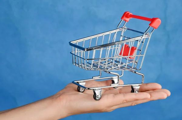 Shopping cart in hand — Stock Photo, Image