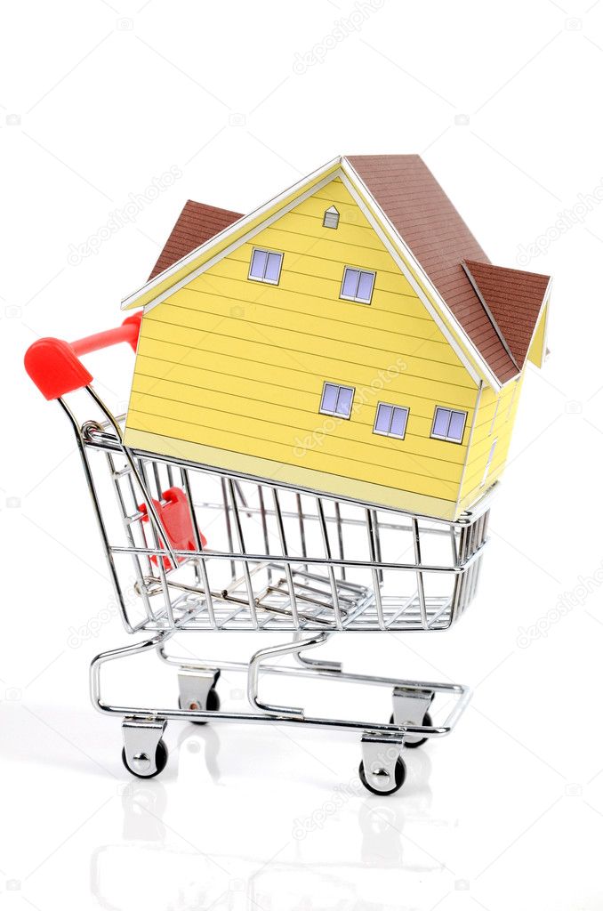 Shopping cart and model house