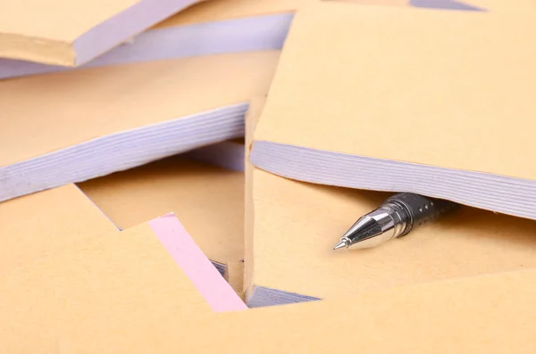 Documents and ballpoint — Stock Photo, Image