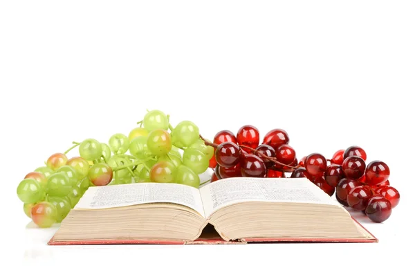 Виноград и книга — стоковое фото