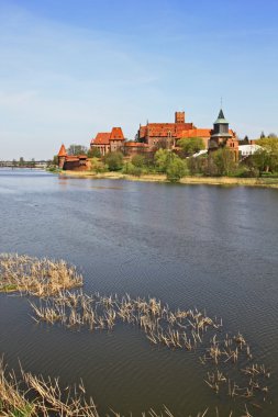 Malbork, kale