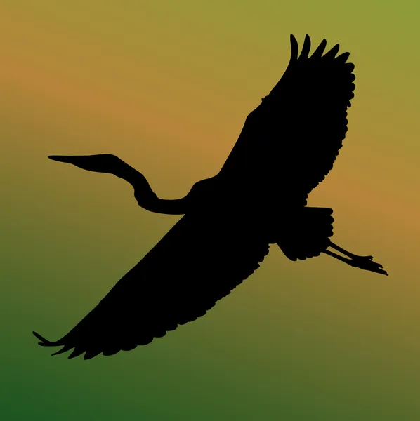 Heron fågel i siluett — Stock vektor