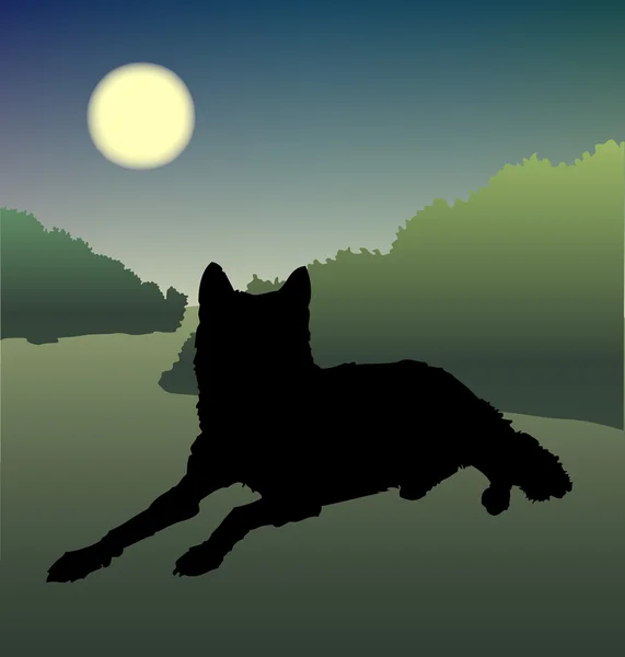 Wolf silhouet, vector — Stockvector