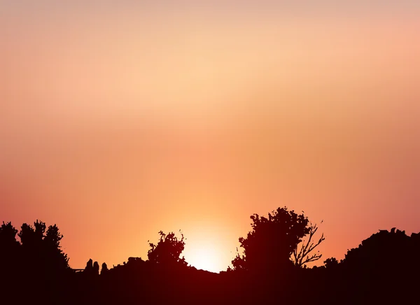 Пейзаж восхода солнца — стоковый вектор
