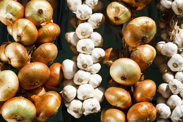 Hanging Onion — Stock Photo, Image