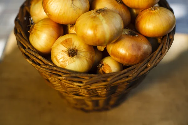 Onions Closeup — Stock Photo, Image