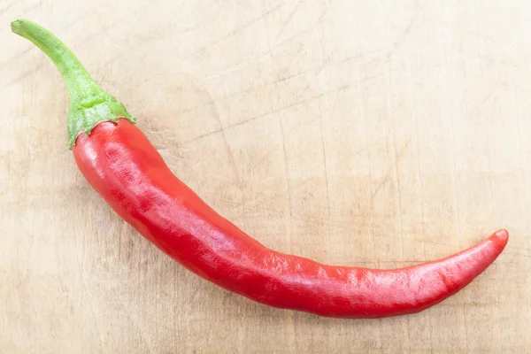 Chili rojo único —  Fotos de Stock