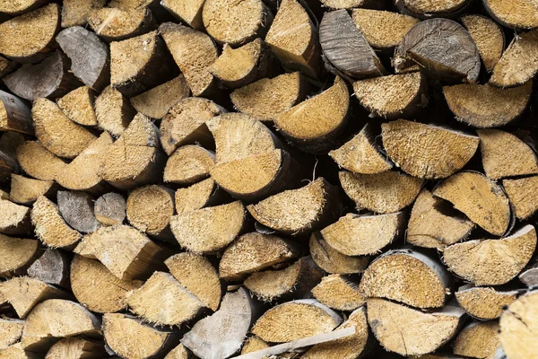 木头桩 — 图库照片