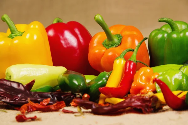 Chilli pepper still life — Stock Photo, Image