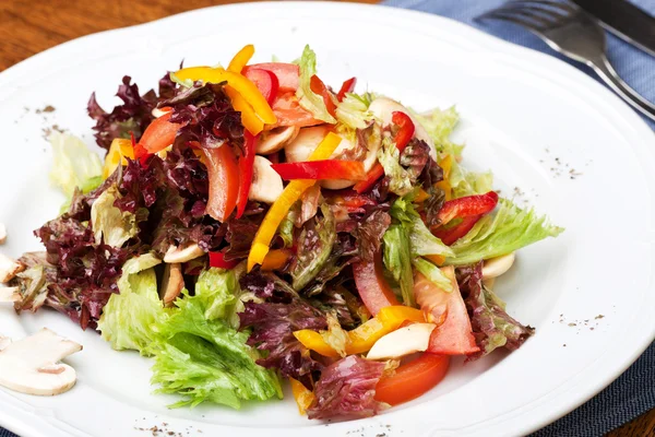 Salat mit Tomaten — Stockfoto