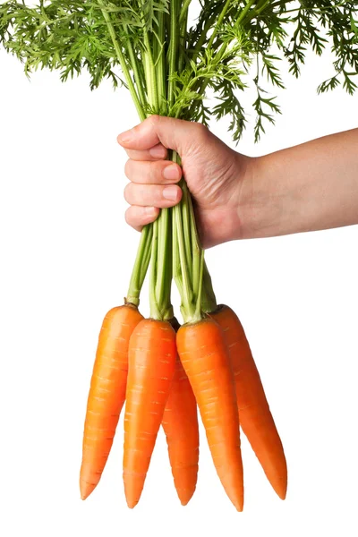 Zanahorias frescas sobre fondo blanco — Foto de Stock