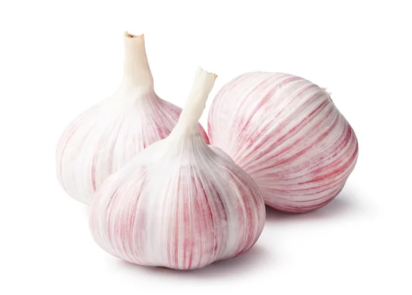 Heads of garlic on a white background — Stock Photo, Image
