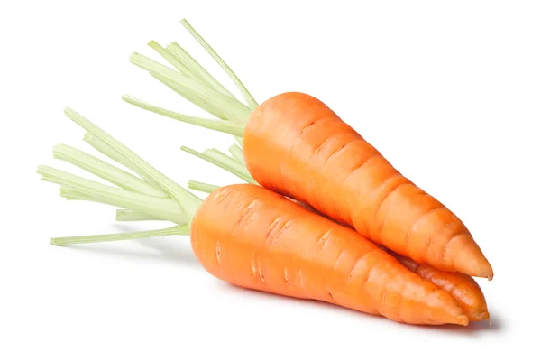Zanahorias frescas sobre fondo blanco — Foto de Stock