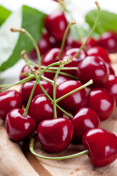 Fresh cherries