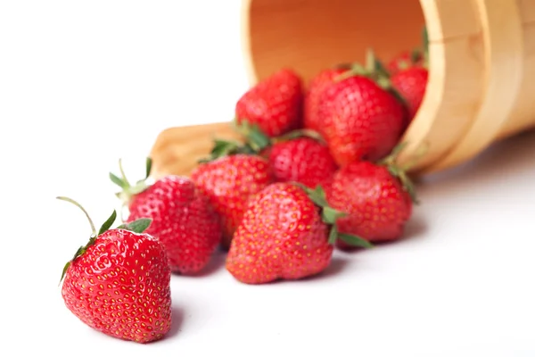 Erdbeeren im Korb hängen — Stockfoto