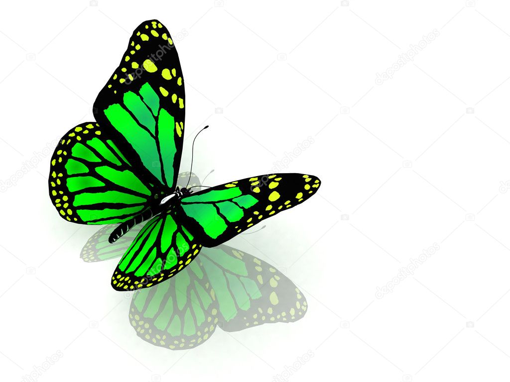 La Mariposa De Color Verde — Fotos De Stock © 3ddock 10782314 6581