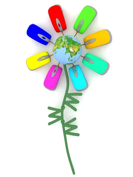 Farbe Internet-Blume — Stockfoto