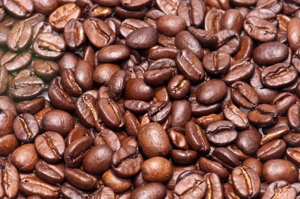 Koffiebonen (macro bekijken) — Stockfoto