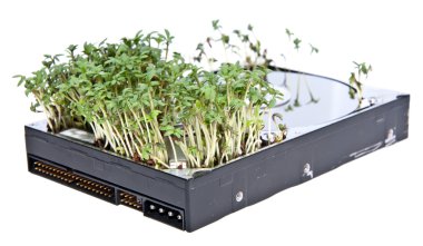Hard disk drive with Garden Cress clipart