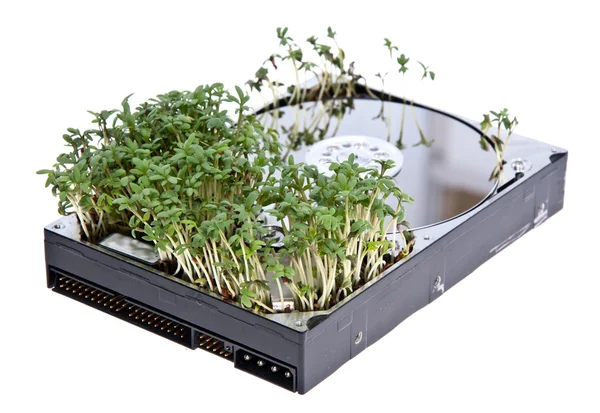 stock image Hard disk drive with Garden Cress