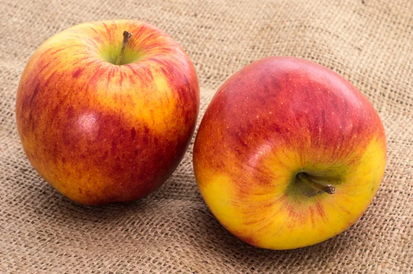 Dvě jablka na textilní pozadí — Stock fotografie