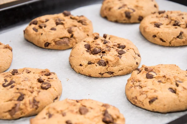 Cookies frais faits maison sur une plaque chauffante — Photo