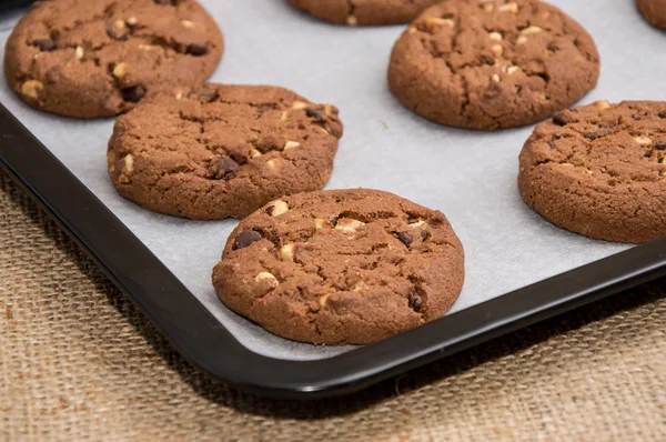 Unele cookie-uri maro pe o griddle — Fotografie, imagine de stoc