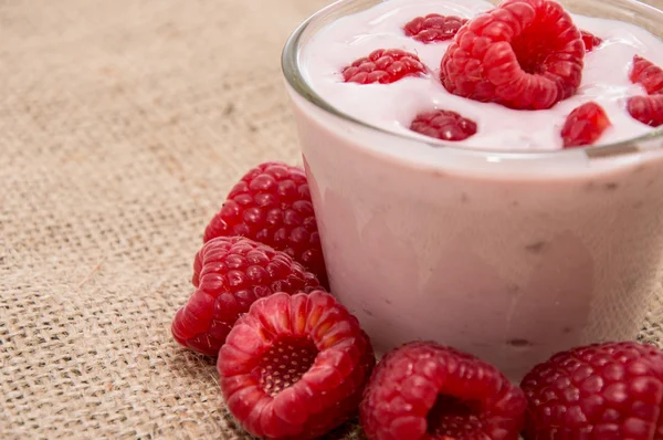 Färska gjorde rasperry yoghurt — Stockfoto