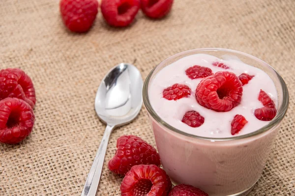 Färska gjorde rasperry yoghurt — Stockfoto