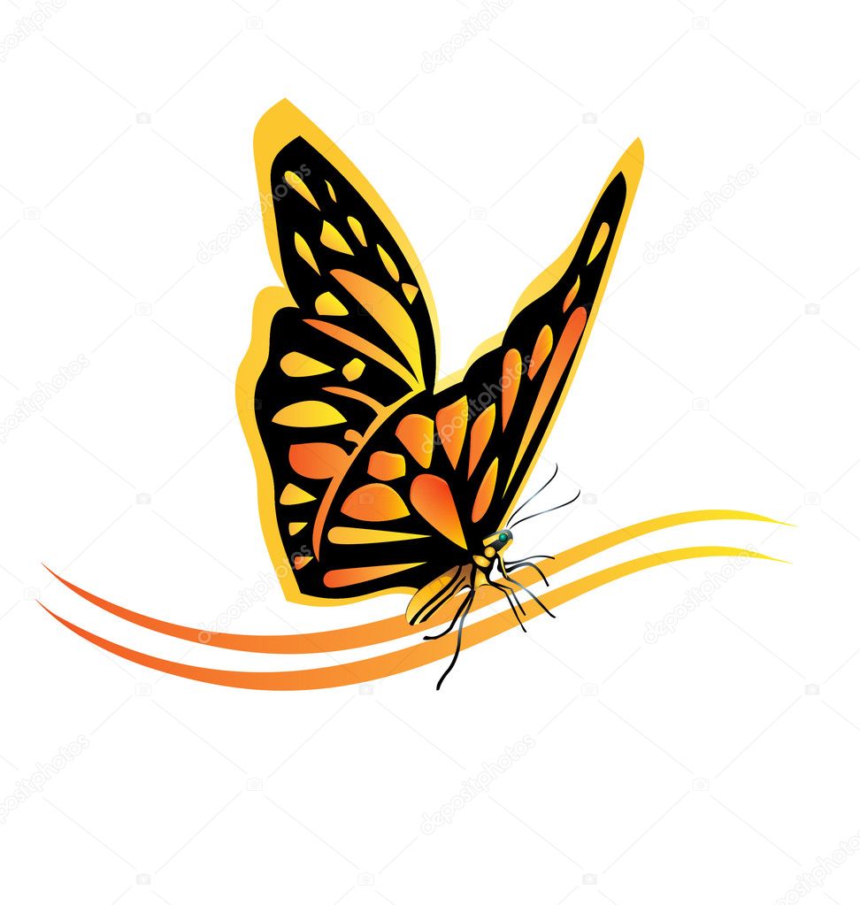 Monarch butterfly logo vector