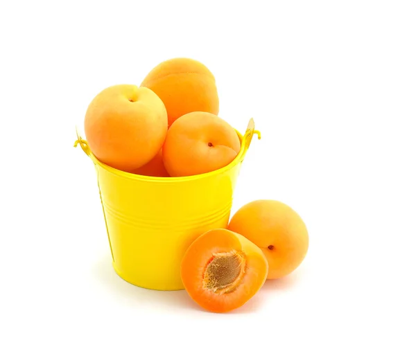Aprikoser i en hink — Stockfoto