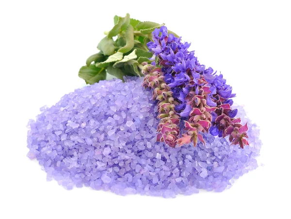 Meersalz mit Lavendel — Stockfoto