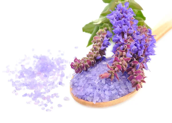 Sea salt with lavender — Stock Photo, Image
