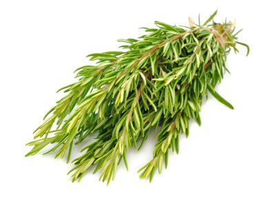 Rosemary on white background