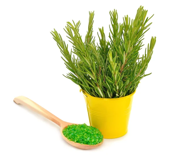 Sea salt and a bouquet of rosemary — Stock Photo, Image