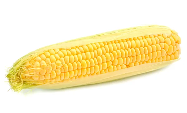 Maïs op een witte achtergrond — Stockfoto