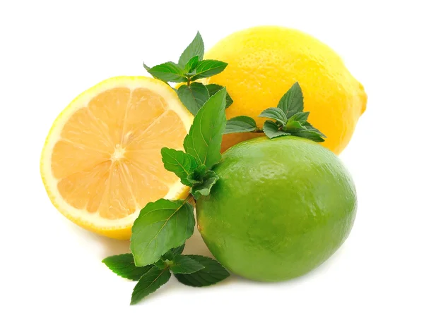 柠檬、 酸橙和薄荷 — 图库照片
