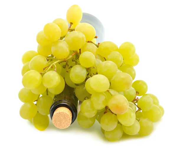 Wino i winogrona — Zdjęcie stockowe