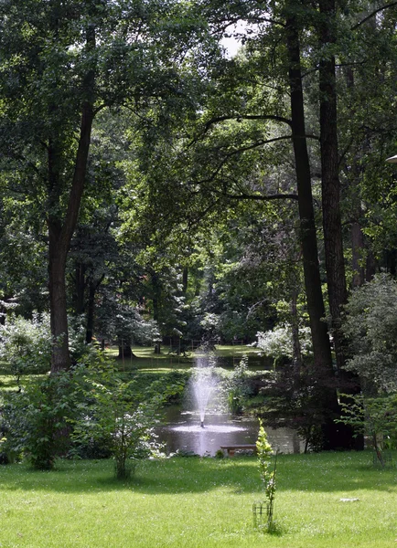 stock image FOUNTAIN IN THE PARK