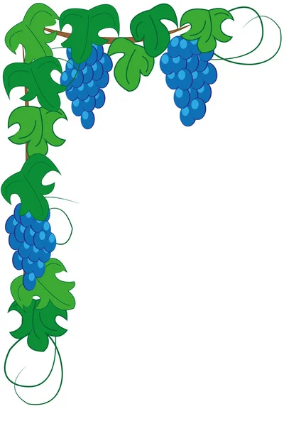 stock vector Frame of the vine