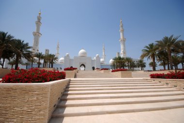 Şeyh Zayed Büyük Cami