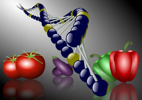 유전자 변형된 식품 — 스톡 사진