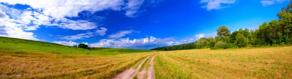 stock image Field panorama