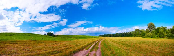 stock image Field panorama