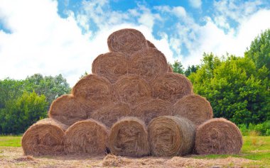 Hay balyaları