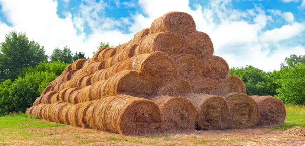 Hay balyaları